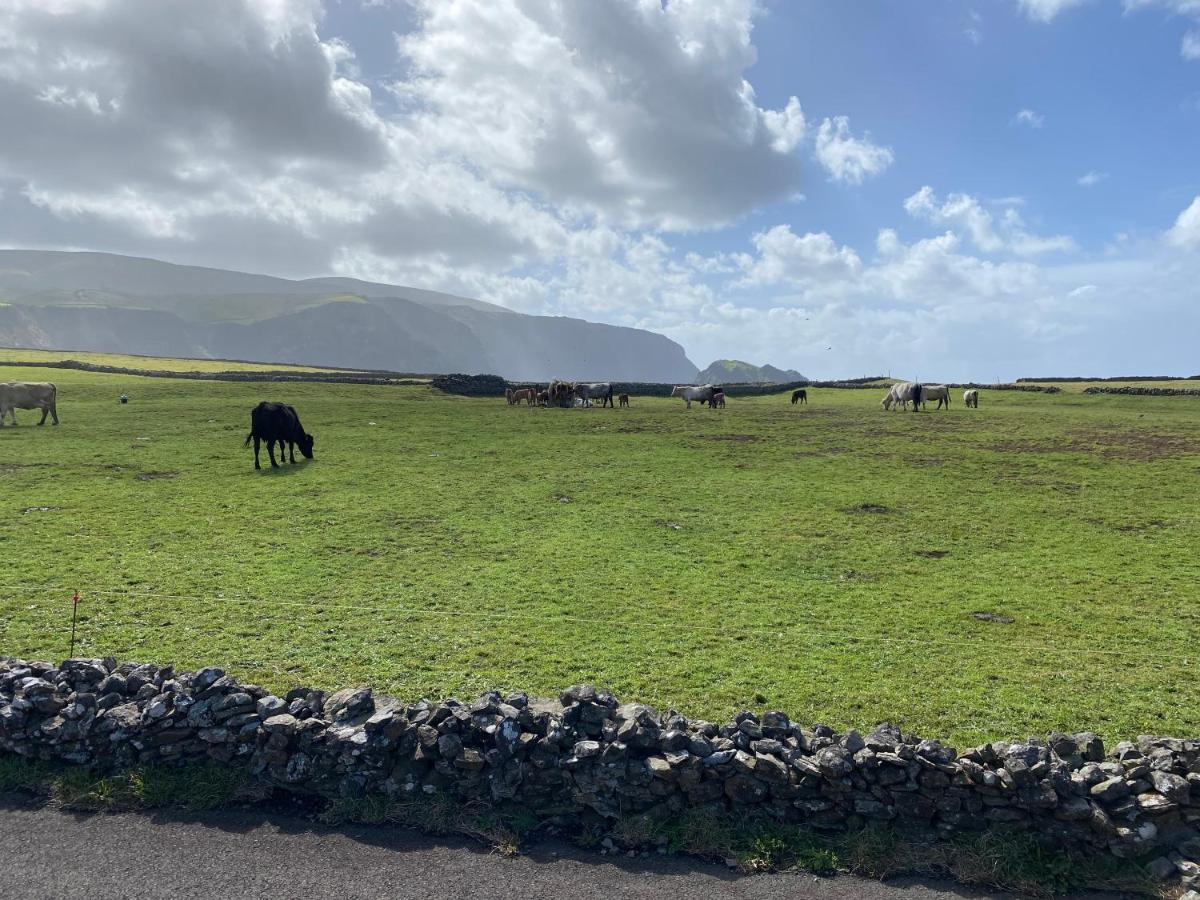 Casa Bela Vista Villa Ponta Delgada  Dış mekan fotoğraf