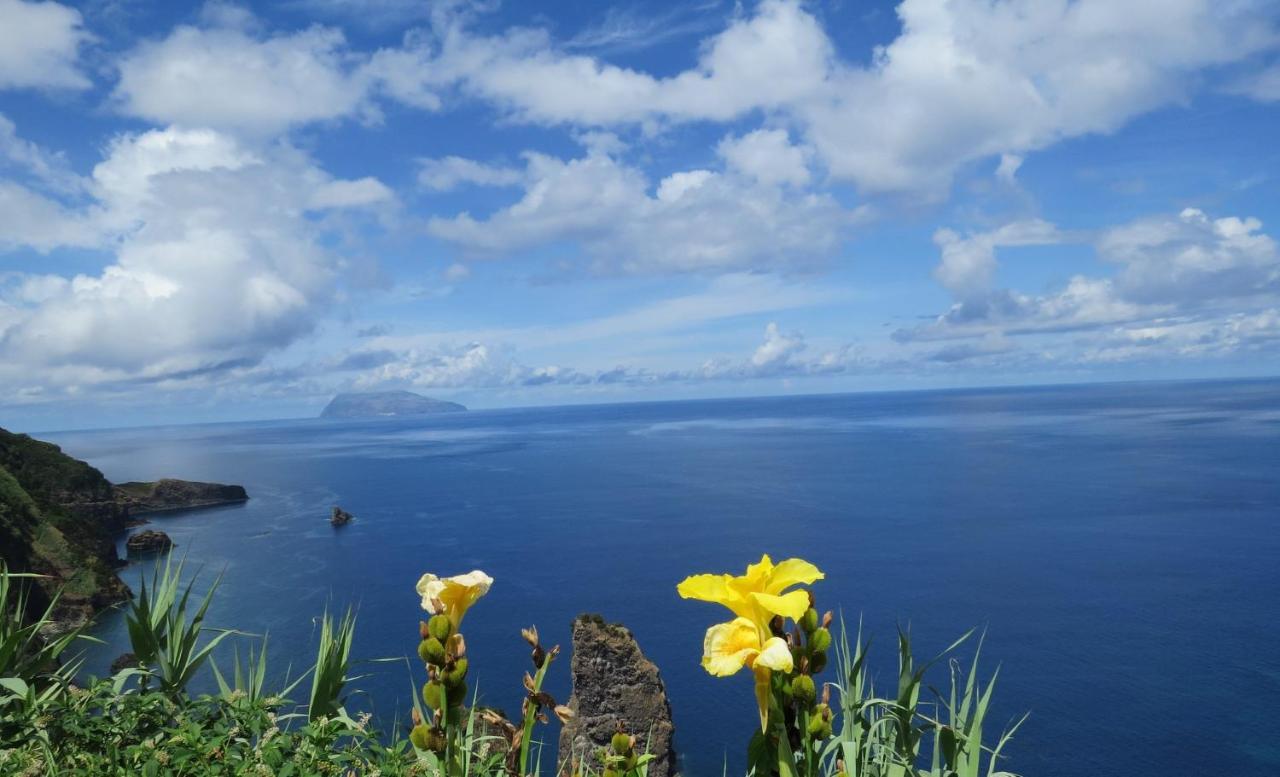 Casa Bela Vista Villa Ponta Delgada  Dış mekan fotoğraf