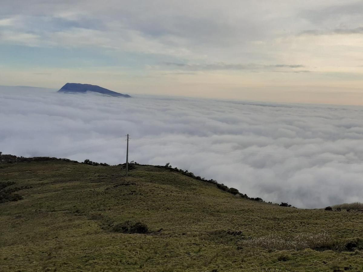 Casa Bela Vista Villa Ponta Delgada  Dış mekan fotoğraf